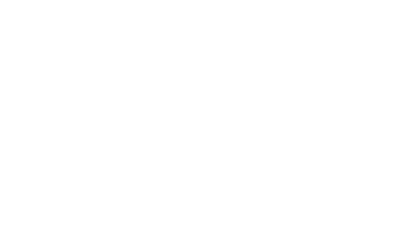 Logo Gironde Blanc