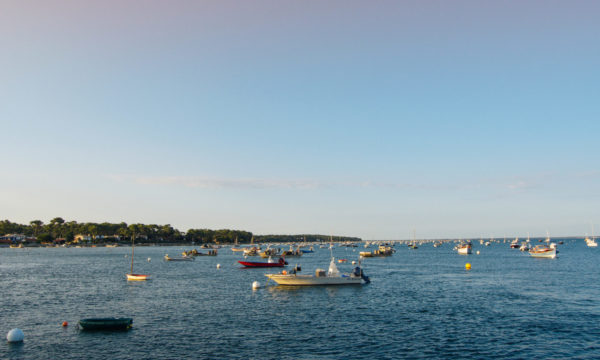 DSC_0686