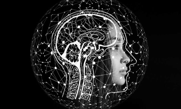 artificial-intelligence-2 artificial-intelligence-2