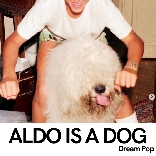 VIGNETTES NOMS SITE WEB (2)